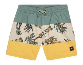 Swimming Trunks O'Neill Boys Mix & Match Cali Block 13 inch Beige Venice Beach