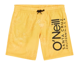 Maillot de Bain O'Neill Garçon Mix & Match Cali Floral 14 inch Yellow Tonal Tropicana
