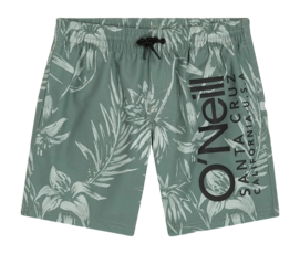 Maillot de Bain O'Neill Boys Mix & Match Cali Floral 14 inch Green Tonal Tropicana
