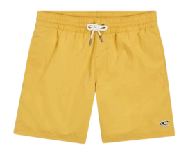 Badehose O'Neill Vert 14 Inch Kinder Golden Haze