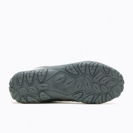 J037177_sole
