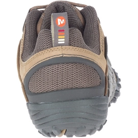 3---intercept--moth-brown_2785_1