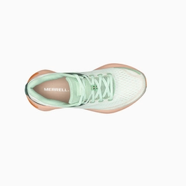 MRLW-J068140-032723-S24-TOP