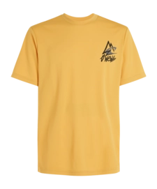 T-Shirt O'Neill Homme Hybrid Logo Polygiene Golden Haze