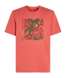 T-Shirt O'Neill Trvlr Series Pacific Polygiene Herren Red Orcher