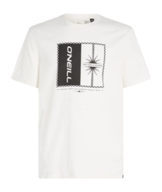 T-Shirt O'Neill Homme Mix & Match Palm Snow White