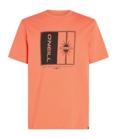 T-Shirt O'Neill Men Mix & Match Palm Living Coral