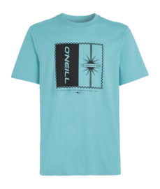 T-Shirt O'Neill Men Mix & Match Palm Ripling Shores 25