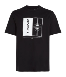 T-Shirt O'Neill Mix & Match Palm Herren Black Out