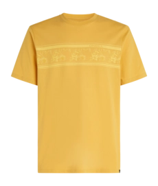T-Shirt O'Neill Homme Mix & Match Graphique Floral Golden Haze
