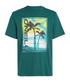 T-Shirt O'Neill Homme Jack Neon Beetle Juice