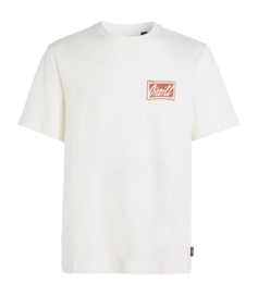 T-Shirt O'Neill Beach Graphic Herren Snow White