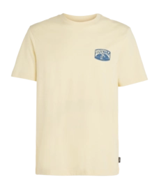 T-shirt O'Neill Homme Plage Graphique Paris Daisy