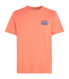 T-shirt O'Neill Homme Plage Graphic Living Coral