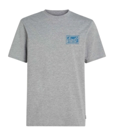T-Shirt O'Neill Men Beach Graphic Silver Melee '25