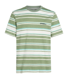 T-shirt O'Neill Homme Mix & Match Stripe Green Bold Stripes