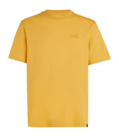 T-shirt O'Neill Homme Petit Logo Golden Haze