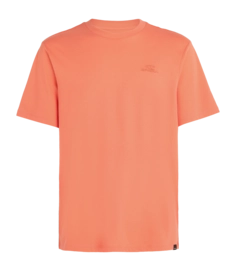 T-Shirt O'Neill Men Small Logo Living Coral