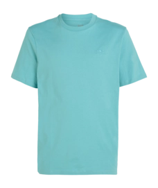 T-Shirt O'Neill Homme Petit Logo Ripling Shores