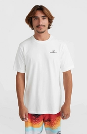3---2850237_11000_01_MODEL