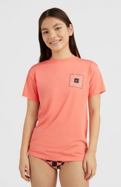 3850036_14022_01_MODEL