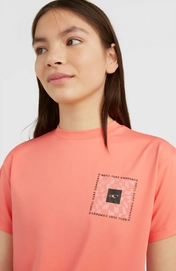 3850036_14022_02_MODEL