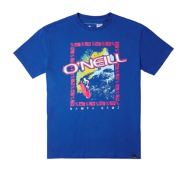 T-Shirt O'Neill Garçon Anders Princess Blue
