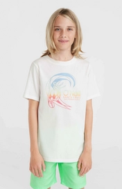 3---4850082_11010_01_MODEL