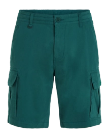 Korte broek O'Neill Men Essentials Cargo Beetle Juice