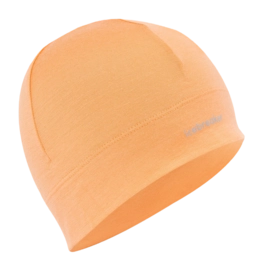 Bonnet Icebreaker Unisexe Merino 200 Oasis Beanie Feldspar