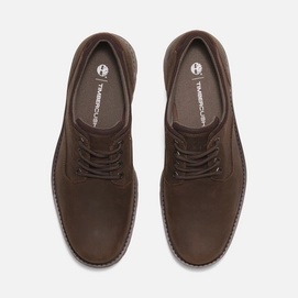 2---Britton-Road-LaceUp-Waterproof-Shoe-for-Men-in-Dark-Brown (1)