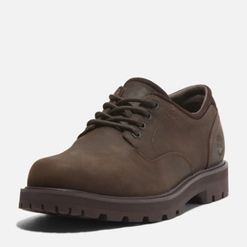 9---Britton-Road-LaceUp-Waterproof-Shoe-for-Men-in-Dark-Brown (8)