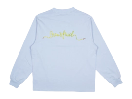 2---garden-hose-longsleeve-blue-back-_no-bg