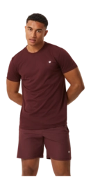 T-Shirt Björn Borg Men Ace T-Shirt Stripe Decadent Chocolate