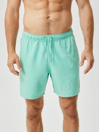 Zwembroek Björn Borg Men Borg Swim Shorts Neptune Green
