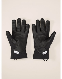2---F24-X000006750-Venta-AR-Glove-Black-Back