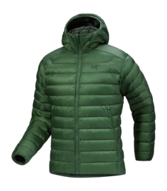 Veste Arc'teryx Homme Cerium Hoody Eden