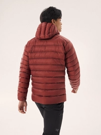 4---F24_X000007313_021430_Cerium Hoody_Sequoia - Solaris_Men_M_Back-View