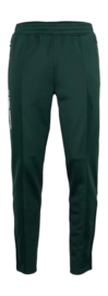 Trainingsbroek The Indian Maharadja Men Jaipur Performance Green