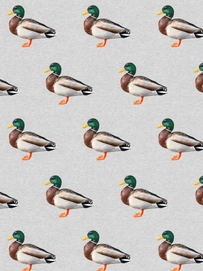 5---FW24_Fabric_quack__repeat