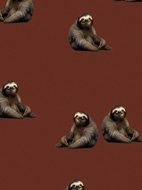 5---FW24_Fabric_sloth