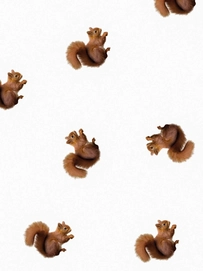 5---FW24_Fabric_squirrels