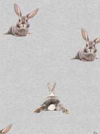 5---FW24_Fabric_bunnybums_repeat