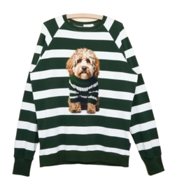 Pullover SNURK Labradoodle Herren Multi