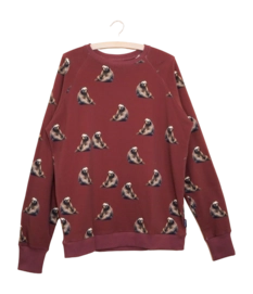 Pull SNURK Homme Sloth