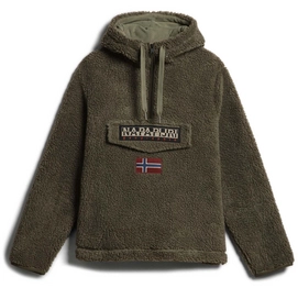 Pull-over Napapijri T-Burgee Half Zip Hoody Men Green Lichen