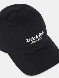 Pet Dickies Unisex Twill Dad Hat Black