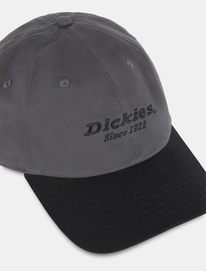 Pet Dickies Unisex Twill Dad Hat Graphite