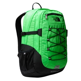Rugzak The North Face Borealis Classic Chlorophyll Greenn TNF Black