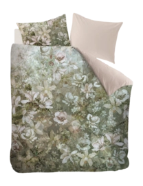 6---326504_10-_no-bg